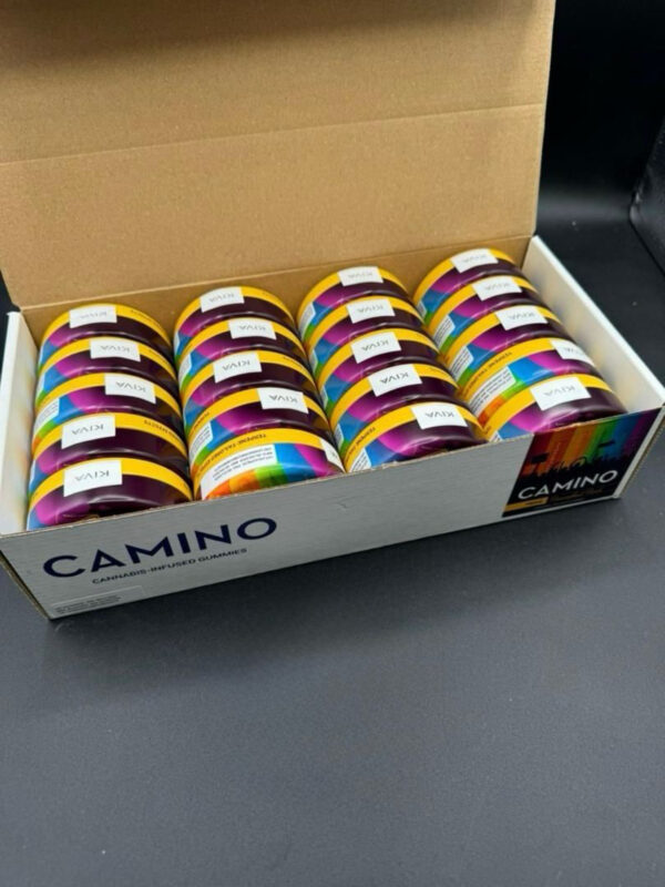 CAMINO GUMMIES 5MG THC