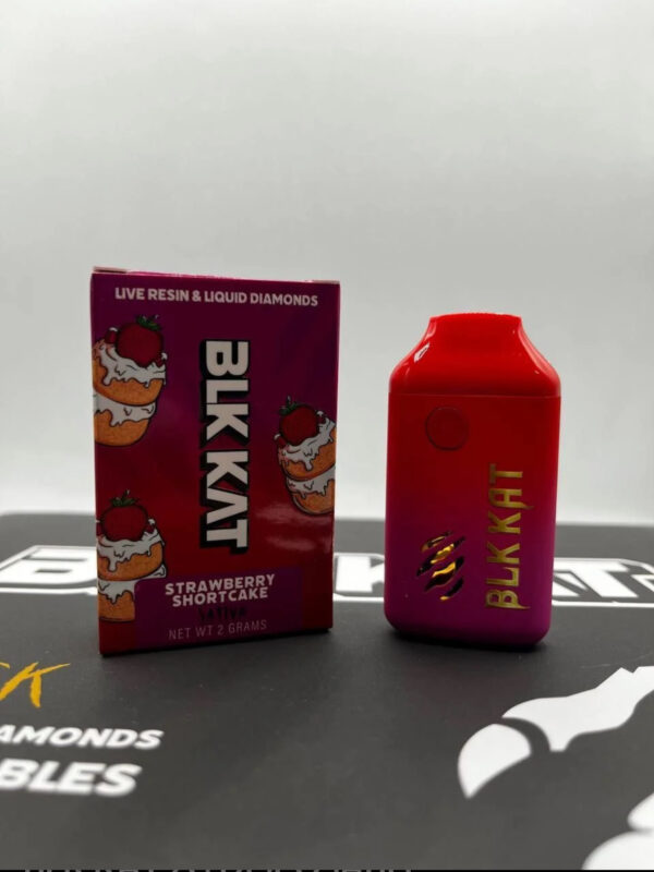 BLK KAT 2G DISPOSABLE
